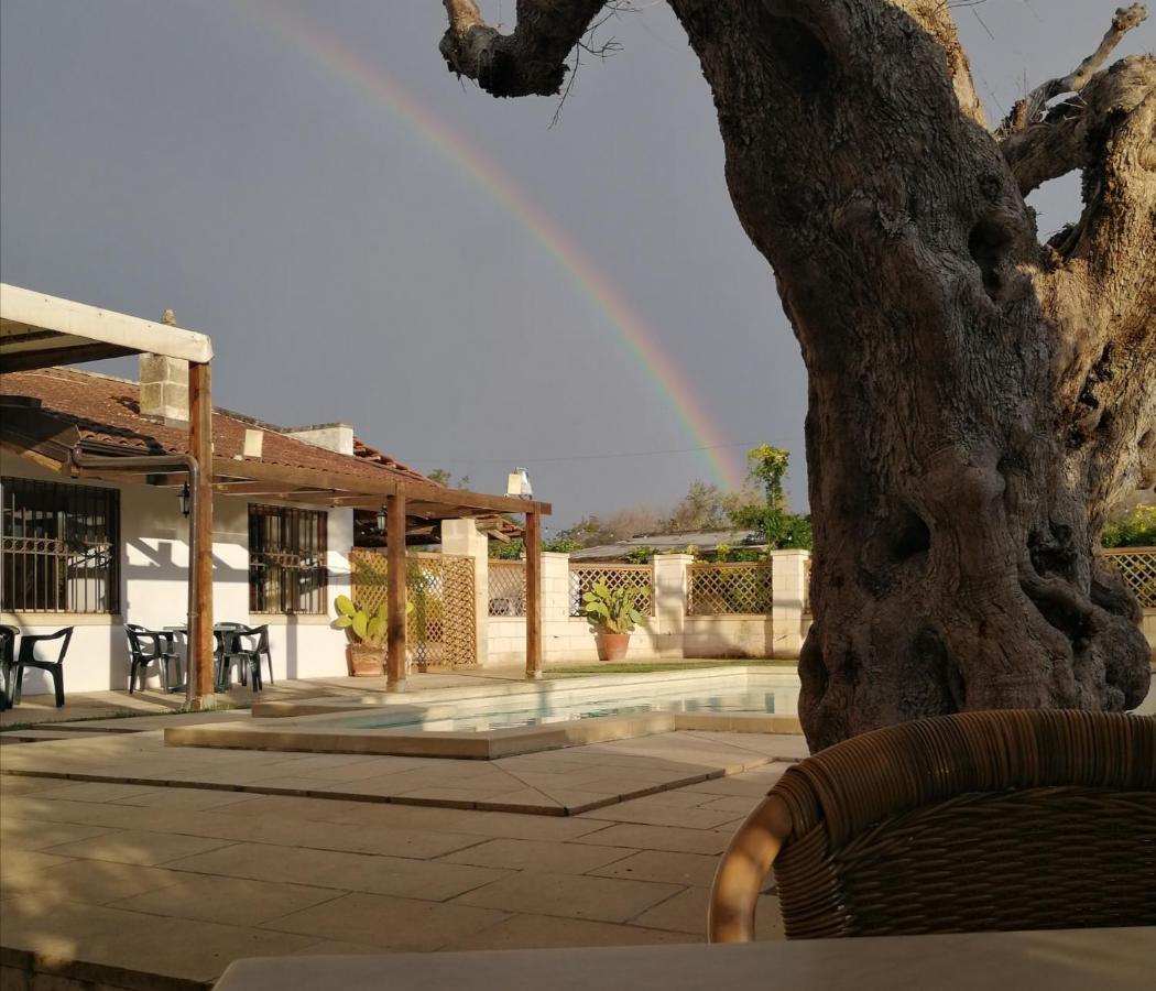 Casasalento Ξενοδοχείο Cavallino di Lecce Εξωτερικό φωτογραφία