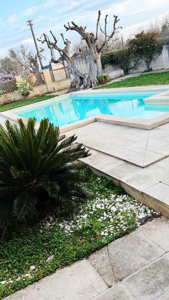 Casasalento Ξενοδοχείο Cavallino di Lecce Δωμάτιο φωτογραφία